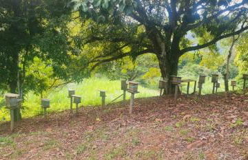 Sítio com piscina natural Cachoeiras de Macacu - Foto 47