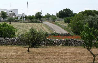 Trulli il Castagno - Foto 78