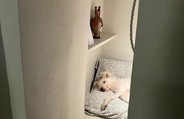 M.Sommer House - Foto 22