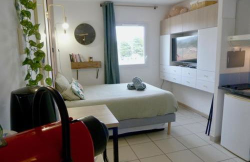 Charmant studio le clos d'Aix parking privé gratuit et piscine - Foto 19