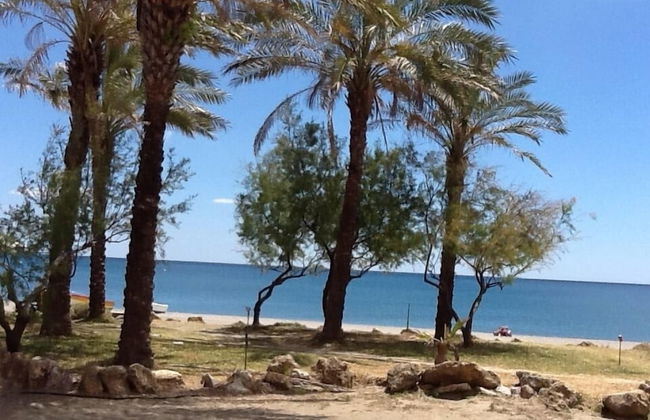 Finca Baeza Flores - Photo 13