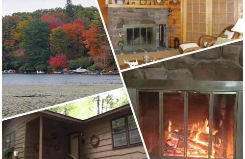 Harmony in the Woods - Foto 29