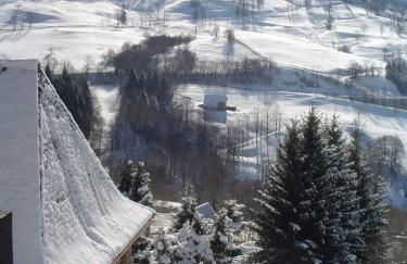 Chalet avec vue panoramique sur le Plomb du Cantal - Foto 36