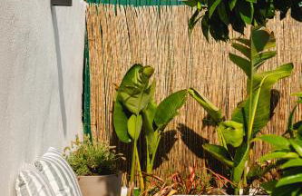 Casa Maria Avieira - Foto 17