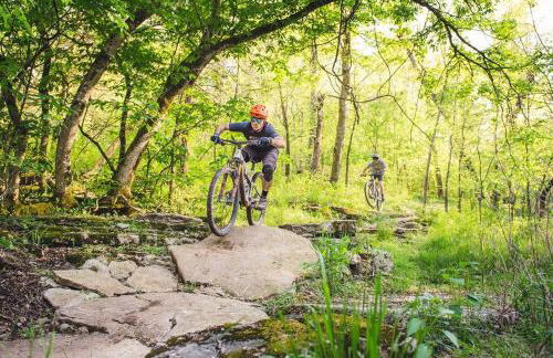 Long Shadow-MTB Oasis - Foto 3