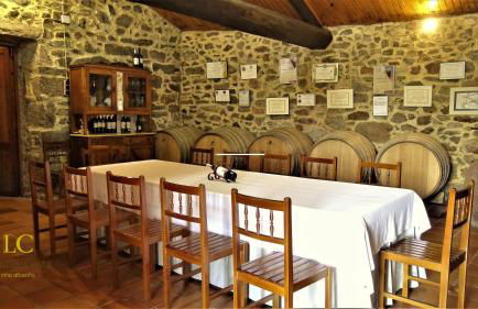 Enoturismo y Bodega Lagar de Costa - Foto 20