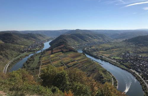 Ferienwohnung-Mesenich - Foto 19
