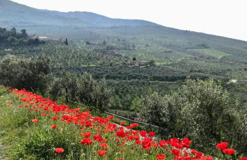 Appartamento La Corte di Trevi - Foto 41