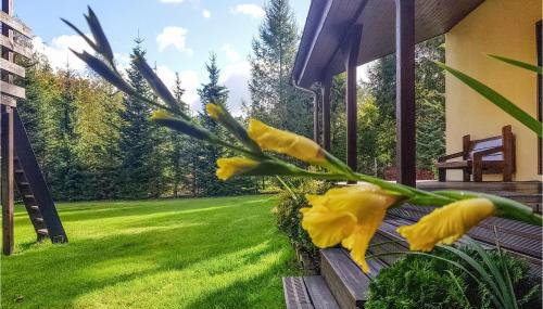 Beautiful Home In Krzynia With Wifi - Foto 5