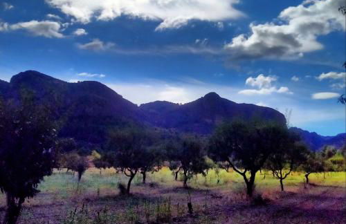 Les Valletes - Foto 27