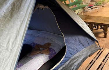 Casa da Árvore - Foto 6