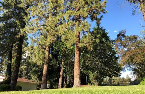 The Base Camp - Foto 38