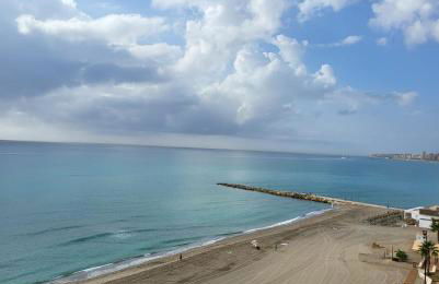 PARADISE SUITES Buenavista Beach - Photo 26