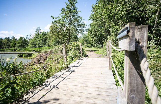 Felmoor Park Northumberland Lodge With Hot Tub - 4 - Foto 16