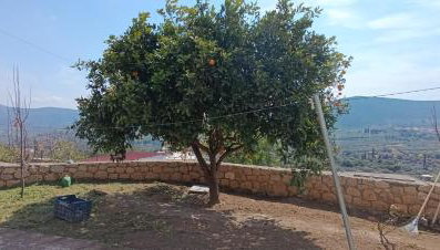 Traditional House in Velies - Foto 2