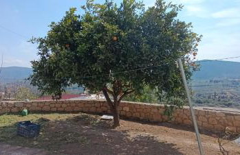 Traditional House in Velies - Foto 2