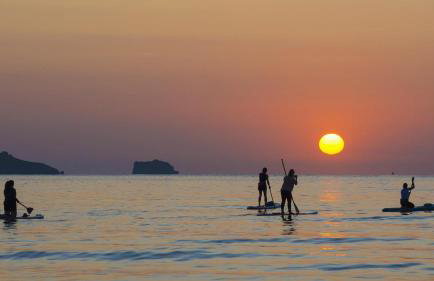 The Nest - Thatched seaside country cottage for two - Foto 51