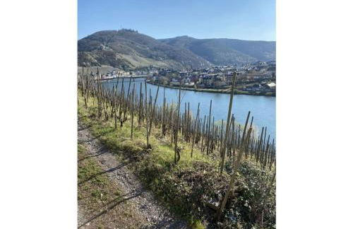 Apartment Philipps 2 - Foto 15