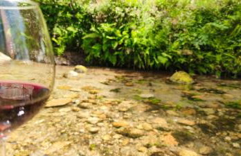 River House - Casas do Rio Tora - Foto 23