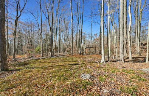 Pocono Pines, Lake Naomi 4 bedrooms, 2 full bath - Foto 6