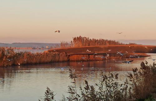 casa vacanza laguna - Foto 36