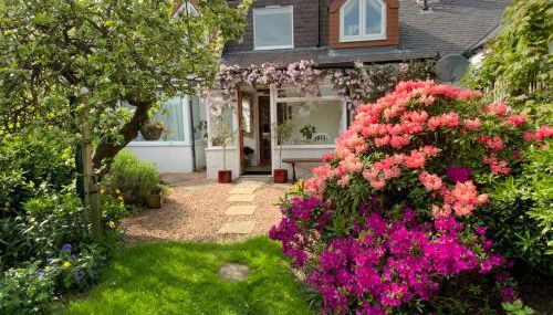 The Nest - Cosy Holiday Cottage - Foto 1, Garden, Garden view