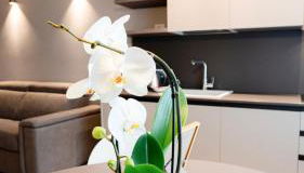 The Corner Bergamo Elegant Apartments - Foto 5