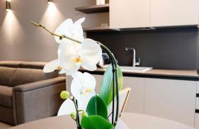 The Corner Bergamo Elegant Apartments - Photo 5