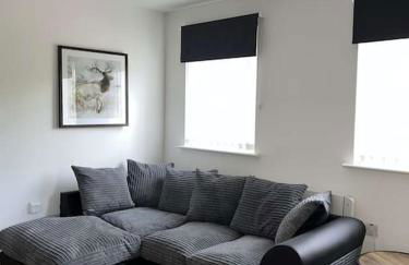 Lovely one bed, open plan studio apartment. - Photo 1