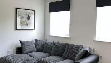 Lovely one bed, open plan studio apartment. - Photo 1