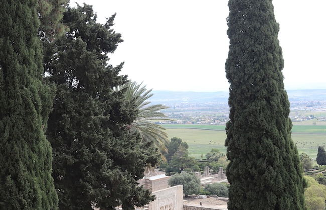 El Sueño de San Fernando - Foto 57