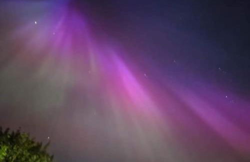 Green Dream - Foto 22