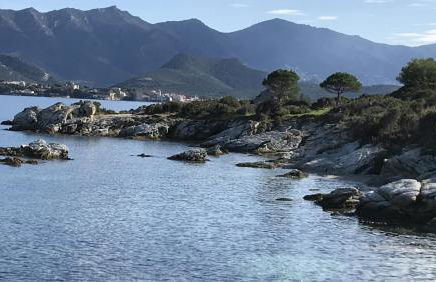 Résidence calme à 2 km de Saint-Florent - Foto 20