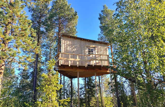 Aurora Lodge - Foto 5