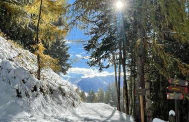 Chalet Nontiscordardime - Foto 15