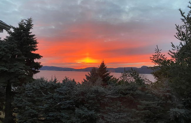 Hudson River Views Firepit Patio Dog Run Game Room Stone Manor - Foto 28