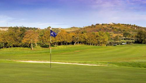 Pescara INN al Golf - Tiger Woods - Foto 3