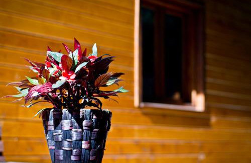 Refugio cálido,estilo nórdico el Bosquet - Foto 11