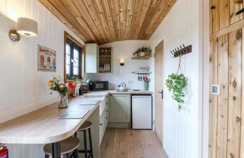 Woodpecker - Foto 10