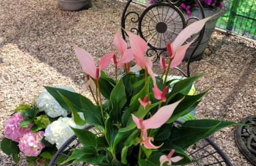 Marien Turm - Foto 27