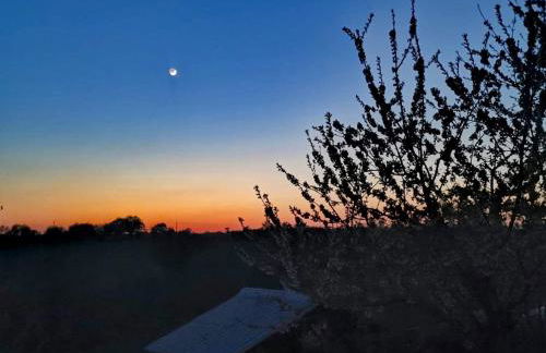 Gite Mimosa - Photo 19