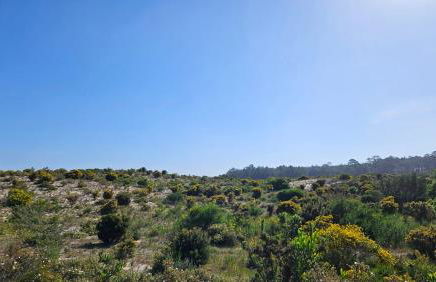 Nazare Uninterrupted Views and Sounds of the Sea - Foto 57