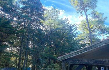 La Cachette d Oona, Grand gîte nature et familles - Foto 45