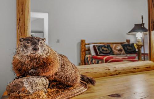 Almost Heaven - Grill, 2 King Beds, Wifi, Deck, Pool Access, Hiking, Wood Stove, Family Friendly - Foto 23