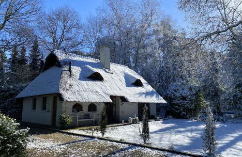 Ferienhaus Boschhuys - Foto 33