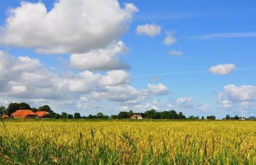 Ferienhaus Lüttje Dörp - Photo 2