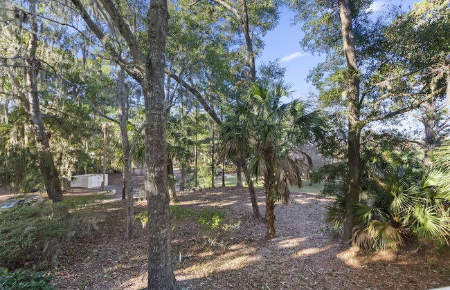 Evian by Hilton Head Retreats - Foto 55