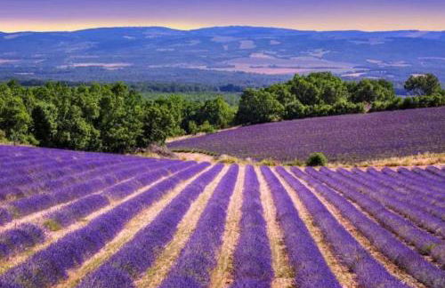 la petite maison - Foto 48