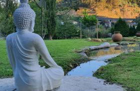 Quinta da Vinha do Souto - Foto 27