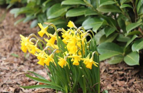 Snug Apartment in Kropelin Germany - Foto 68